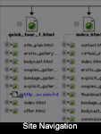 Site Navigation