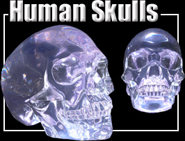 Human Life Size Crystal Skull